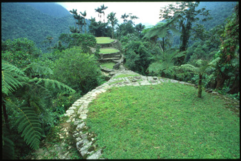 cite perdue-16.jpg